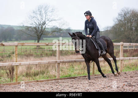 Woman rider exercising a horse at a racing stables in the countryside at Peter Bowen Stables in Pembrokeshire, Wales Stock Photo