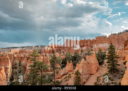 Spire shaped rock formations known as hoodoos at Bryce Canyon National Park in Utah, USA Stock Photo