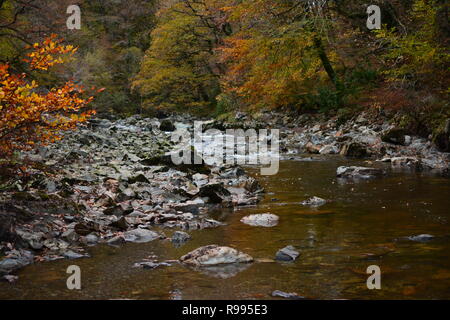 Afon Mawddach/River Mawddach in Autumn Stock Photo
