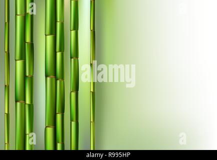 Green bamboo trunks background realistic vector illustration Stock Vector