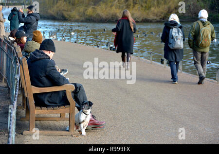 London, England, UK. Man on a bench in St James's Park with his dog Stock Photo
