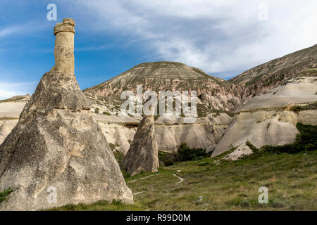 turkey kapadokya located under the name of Simon Paşabağları other natural volcanic formations in the valley. Stock Photo