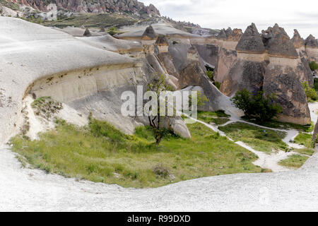 turkey kapadokya located under the name of Simon Paşabağları other natural volcanic formations in the valley. Stock Photo