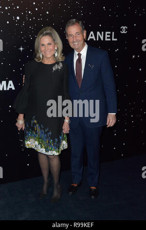 Museum of Modern Art's 11th Annual Film Benefit - Red Carpet Arrivals  Featuring: Guest Where: New York, New York, United States When: 19 Nov 2018 Credit: Ivan Nikolov/WENN.com Stock Photo