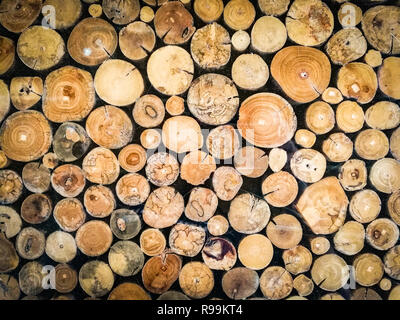 Timber log background / Wooden natural cut logs textured background - Many heartwood wall logs stacke Various sizes - pile of Firewood trunks stored i Stock Photo