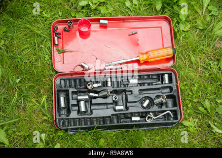 screwdrivers in a red metal box on the grass Stock Photo