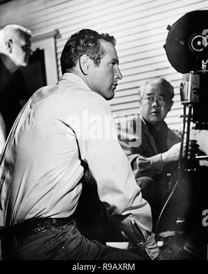 Original film title: HUD. English title: HUD. Year: 1963. Director: MARTIN RITT. Stars: PAUL NEWMAN; JAMES WONG HOWE. Credit: PARAMOUNT PICTURES / Album Stock Photo