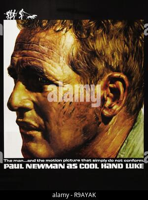 Stuart Rosenberg Cool Hand Luke Year: 1967 USA Director: Stuart Rosenberg Stock Photo ...