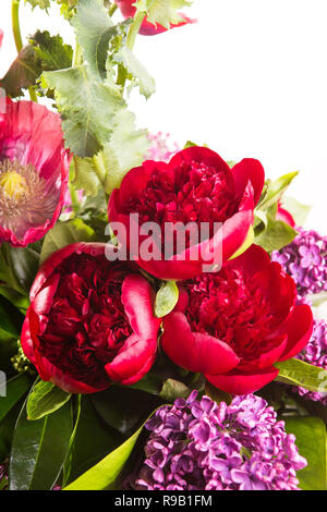 Large beautiful lush bouquet of flowers bright multicolored poppy, peony and lilac in a transparent vase on a white isolate background. Stock Photo