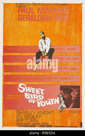 Original film title: SWEET BIRD OF YOUTH. English title: SWEET BIRD OF YOUTH. Year: 1962. Director: RICHARD BROOKS. Credit: M.G.M. / Album Stock Photo