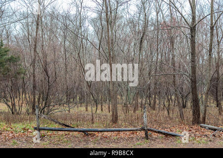 A wooded area with a broken split rail fence on a cold and rainy day in Sag Harbor, NY Stock Photo