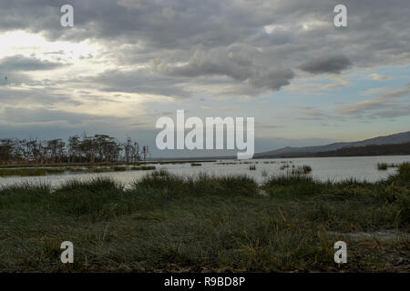 Camping at Lake Elementaita, Rift Valley, Kenya Stock Photo