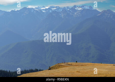 Hurricane Ridge hiking trail at Olympic National Park in the Pacific Northwest Stock Photo