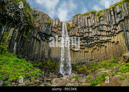 Svartifoss waterfall surrounded by basalt columns in the south of Iceland. Stock Photo