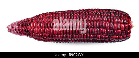 Fresh purple corn isolated on white clipping path. Stock Photo