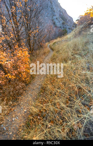 Grass and trail in Provo Canyon sunset Stock Photo
