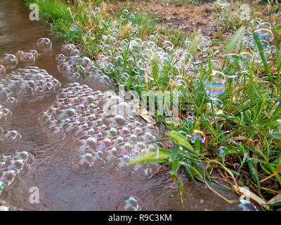 Big colorful soap bubbles in nature. Many bubbles soap on floor of garden outdoor, beautiful natural environment. Abstract soap bubbles background. Stock Photo