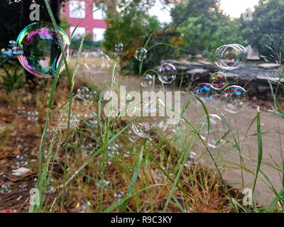 A lot of beautiful soap bubbles flying on green background, closeup. Big colorful soap bubbles in nature. Many bubbles soap on grass of garden. Stock Photo