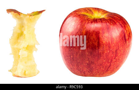 Red bitten apple and whole apple isolated on white. Stock Photo