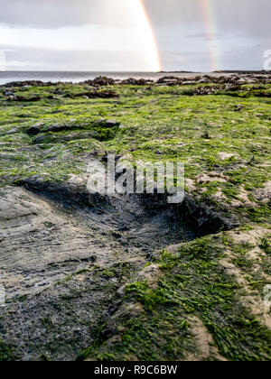 an corran beach dinosaur footprint