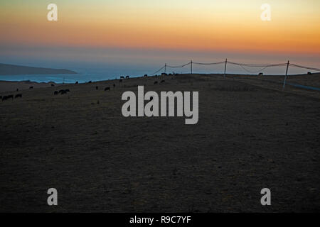 Pasture near Dillon Beach, Marin County, California, USA Stock Photo