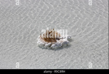 Urmia lake-Salt Stock Photo