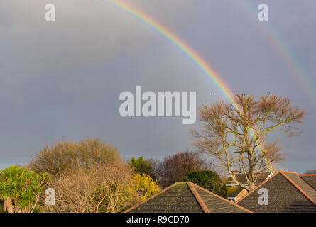 A colourful double rainbow behind a large tree in dark sky and clouds, in Winter in the UK. With copyspace. Stock Photo