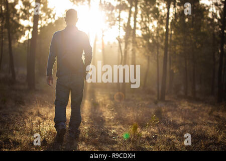 Man in a Maritime Pine forest Stock Photo