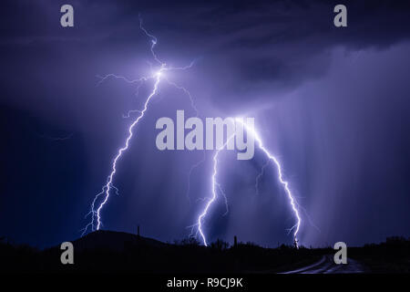 Vivid lightning bolts strike during a summer thunderstorm in Arizona Stock Photo
