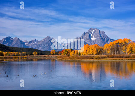 Mount Moran Reflection in the Snake River at Oxbow Bend in Autumn Stock Photo