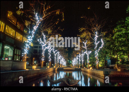 Christmas lights illuminating the streets of Osaka, being reflected in water. Stock Photo