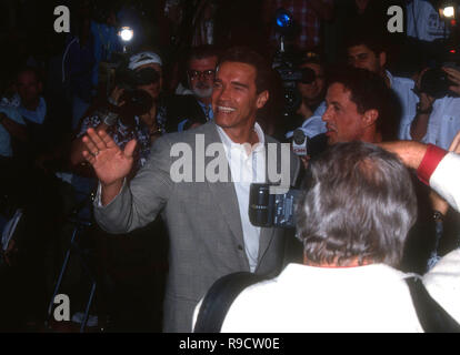 HOLLYWOOD, CA - MAY 26: Actors Arnold Schwarzenegger and Sylvester Stallone attend TriStar Pictures' Cliffhanger' Hollywood Premiere on May 26, 1993 at Mann's Chinese Theatre in Hollywood, California. Photo by Barry King/Alamy Stock Photo