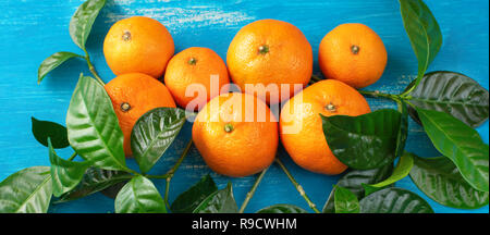 Banner Ripe Tangerines With Green Leaves On A Bright Blue Background 