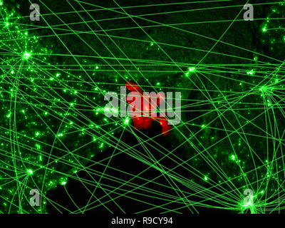 Bangladesh on green map with networks. Concept of international travel, communication and technology. 3D illustration. Elements of this image furnishe Stock Photo