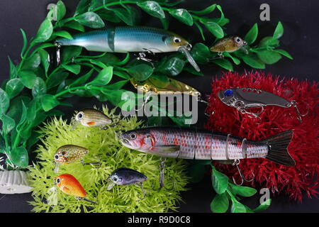 Artificial aquarium with artificial fish that are good for fishing for predator  fish Stock Photo - Alamy
