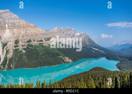 Peyto Lake in Banff National Park. Stock Photo