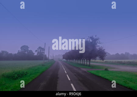 Departmental Road 24 at the blue hour on a foggy evening in the Orne countryside, Normandy, France Stock Photo