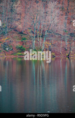 Magical pattern woods reflected on water in autumn day, Plitvice Croatia Stock Photo
