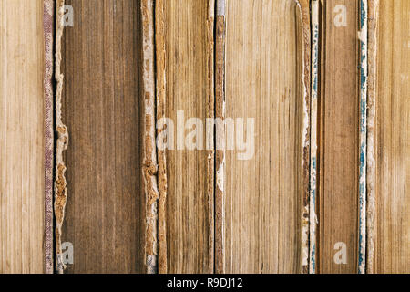 Texture from the old shabby books Stock Photo