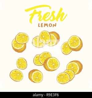 Fresh lemon hand drawn vector illustrations set. Handwritten calligraphy, lettering. Sketch fruits clipart collection. Sliced lemons engraving style drawing. Isolated citrus color design elements Stock Vector