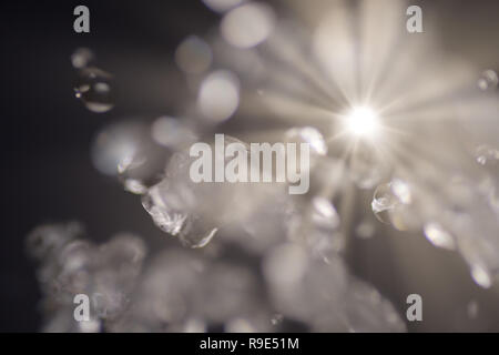 Defocused light spots and flares in the dark Stock Photo