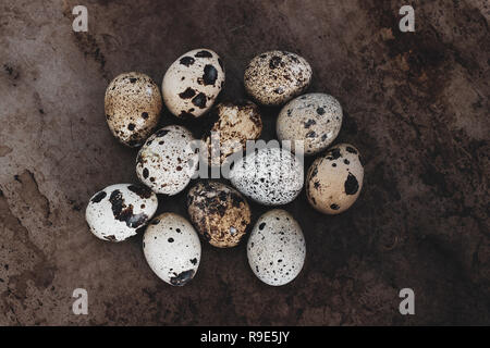 Quail eggs from the local market in Virginia Stock Photo
