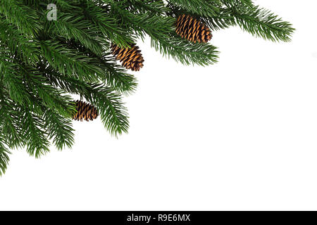 Fir branches with cones in the corner on a white background isolated. New Year card template. Stock Photo