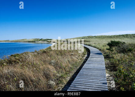 Walking path through Long Point Wildlife Refuge, West Tisbury, Martha's Vineyard, Massachusetts, USA. Stock Photo