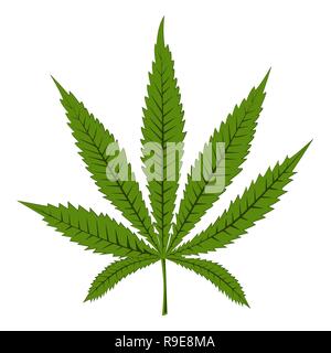 Marijuana, canibas, or hemp leaf. Vector isolated on white background for hemp protein, oil, cosmetics, or other design. Stock Vector