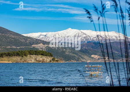 Several seagulls resting on metallic structure in the water near the Greek city of Ioannina. Scenery early spring landscape with snow covered mountain Stock Photo