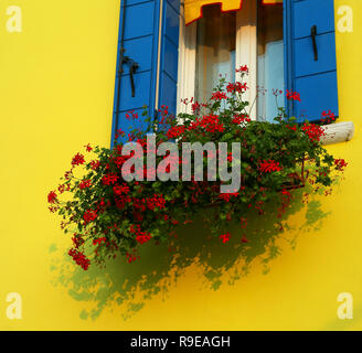 house with flowery balcony with red geraniums on the isle of Burano near Venice in Italy Stock Photo