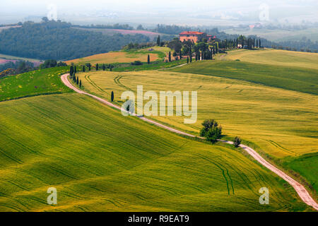 Beautiful photography destination place in Tuscany. Fantastic agrotourism and typical curved road with cypress trees, near Pienza touristic village, I Stock Photo