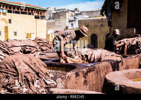 Fez - Morocco - September 29, 2018: Men working in the leather tanneries in Fez, Morocco Stock Photo