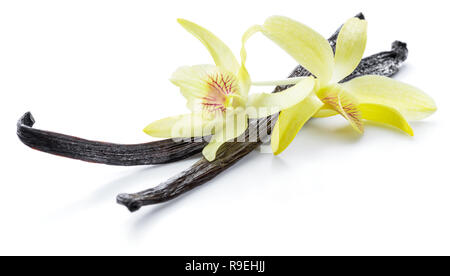 Dried vanilla stick and orchid vanilla flower isolated on white background. Stock Photo